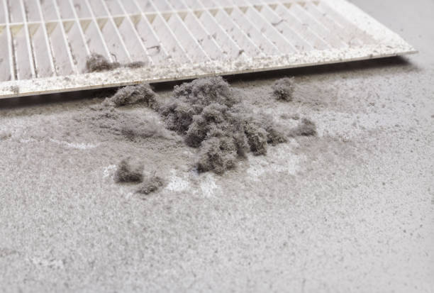 Best HVAC Maintenance and Cleaning  in Ashland, IL